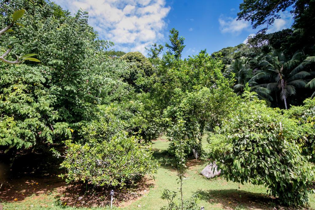 Le Domaine De Bacova Vila Pointe Au Sel Exterior foto